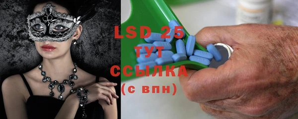 PSILOCYBIN Карталы