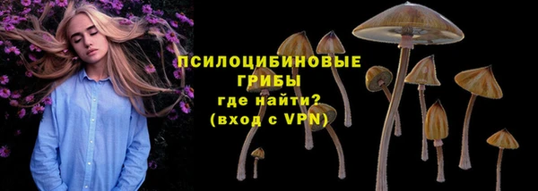 PSILOCYBIN Карталы