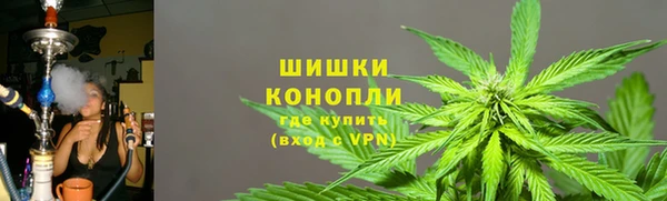 амф Карпинск
