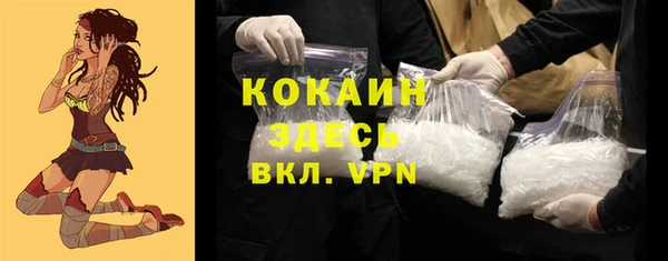 гидра Касимов