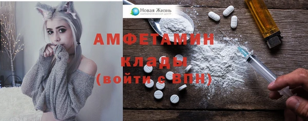 гидра Касимов