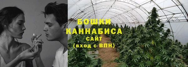 PSILOCYBIN Карталы