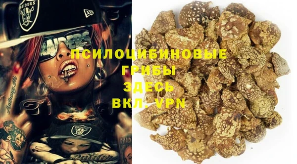 амф Карпинск