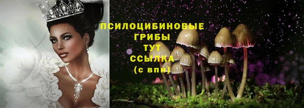 PSILOCYBIN Карталы