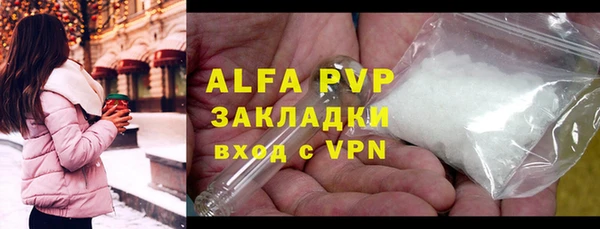 гидра Касимов