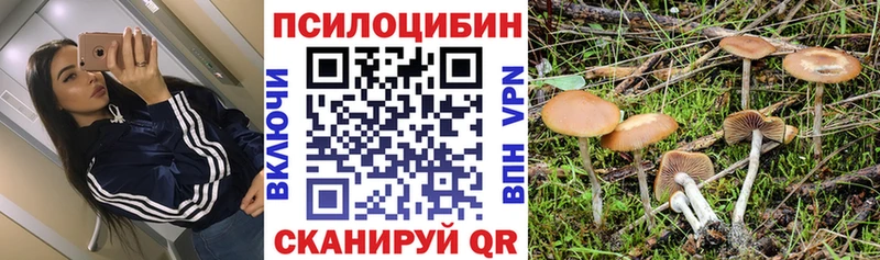 Псилоцибиновые грибы MAGIC MUSHROOMS  Купить  Юрьевец 